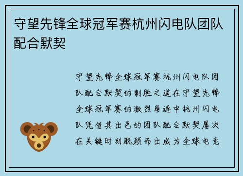 守望先锋全球冠军赛杭州闪电队团队配合默契